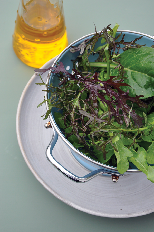 Salad Leaves Bowl